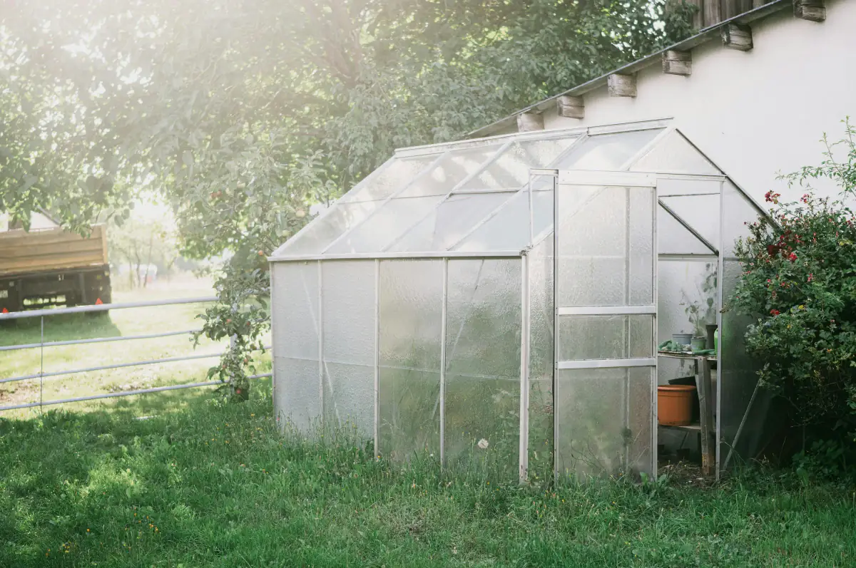 Small polycarbonate greenhouse in a sunlit back garden, showing the cloudy look of twin wall plastic panels